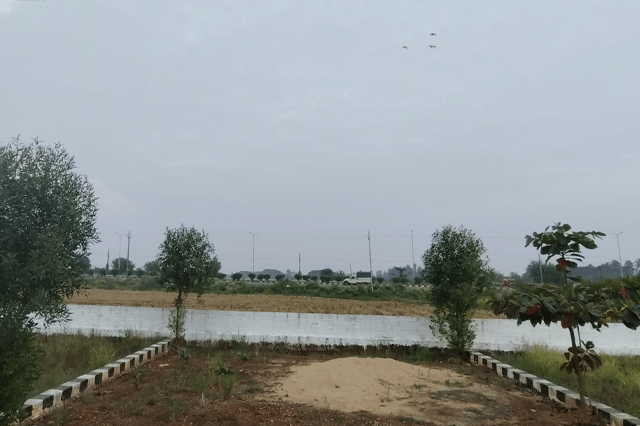 Pipili Image 6